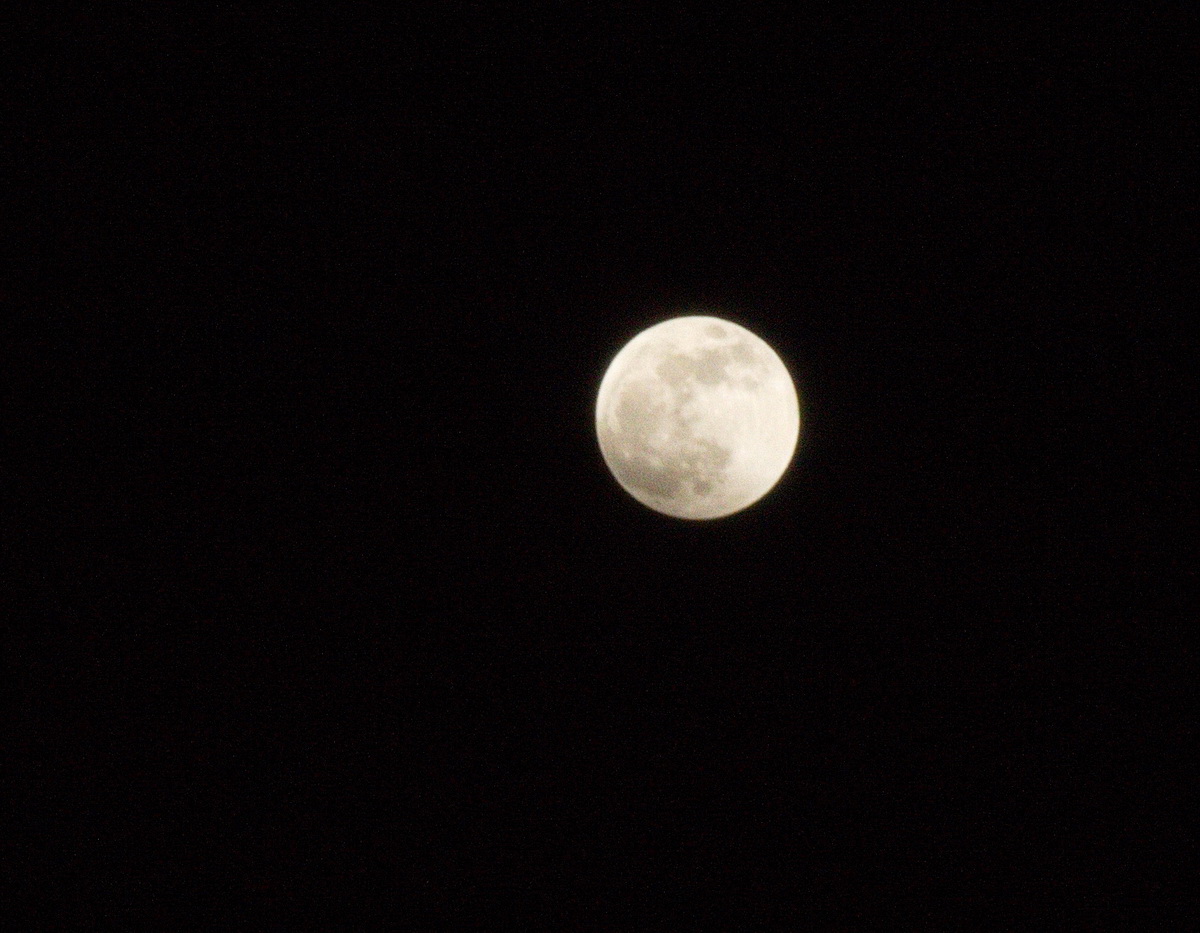 00_No_0009-2019-01-20 20-41-17Canon EOS 60D_resize