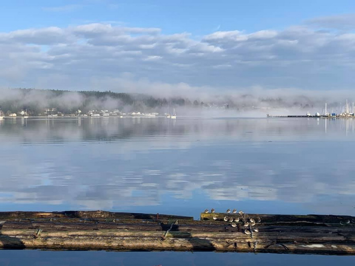 Liberty-Bay-Fog-01_resize